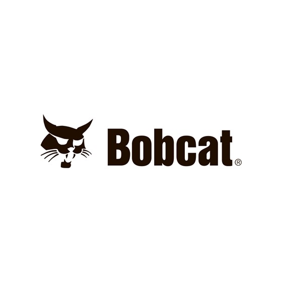 Bobcat S100 Image 9