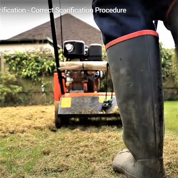 Garden Scarifier Product Overview