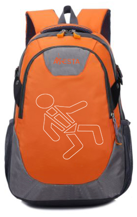 Aresta Double Point Safety Harness Kit Image 8