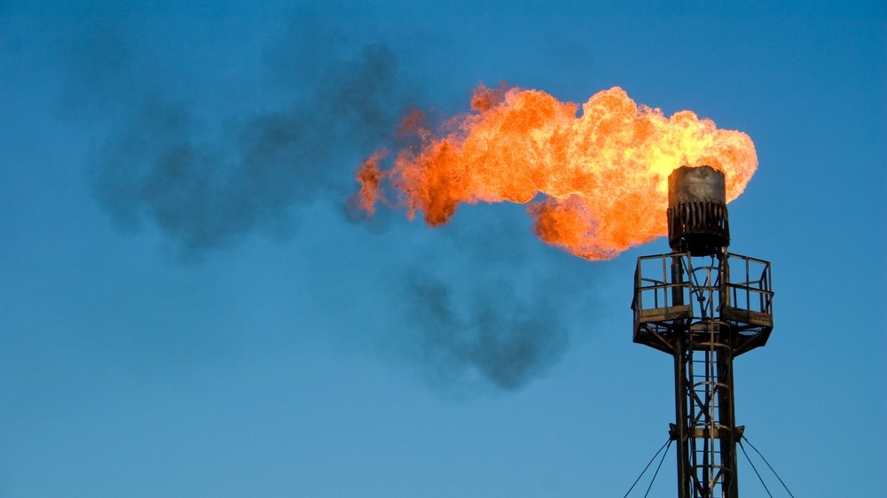 What does carbon neutral, carbon negative, net zero, climate positive