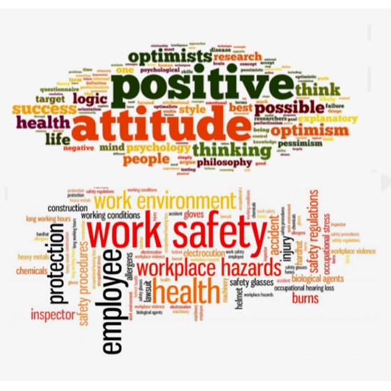 Workplace Culture & Behavioural Safety Image