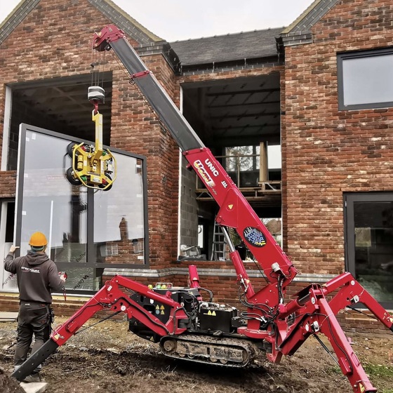 Cranes Image