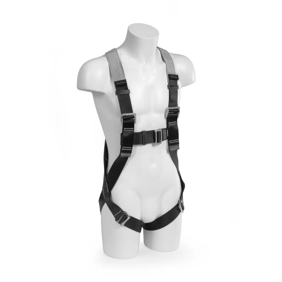 Harness with restraint lanyard Image
